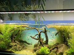 -沈阳海洋探索中心