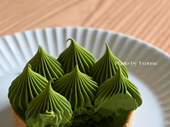 -猫里有甜