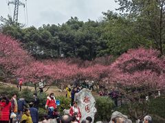 -重庆彩云湖湿地公园