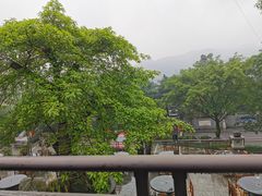 -老幺泉水鸡