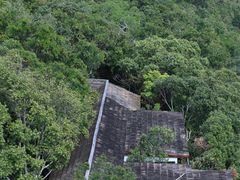 -亚龙湾热带天堂森林公园