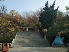 -石老人观光园