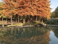 -尚贤河湿地