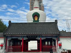 -西塔