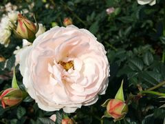 -人民公园(罗湖区)