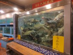 水产区-顺德一品粥·20年凤城老字号(芳村店)