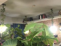 -忘忧草融合私房菜(红鼎国际店)