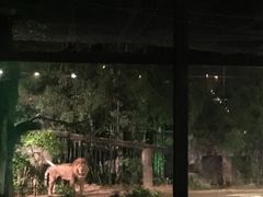 -清迈夜间动物园
