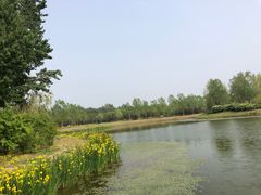 -东郊湿地公园
