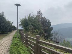 -铁山坪森林公园