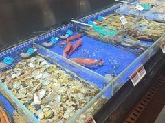 -高佳庄·舟山海鲜(海景旗舰店)