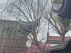 -檀园
