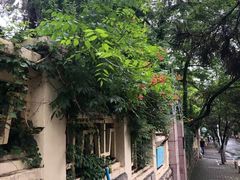 -八大关景区