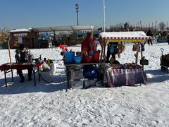 -绿野森林乐园冰雪季