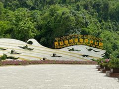 -西双版纳原始森林公园