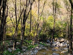 -玉渡山自然风景区