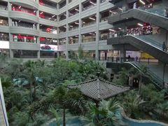 -黑龙江中医药大学附属第一医院