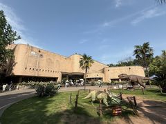 -自贡恐龙博物馆