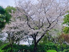 -昆山城市公园