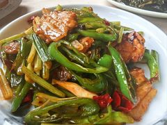 -鲤鱼塘农家山庄