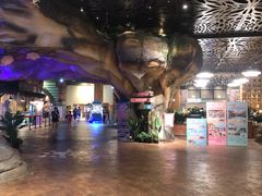 -杭州开元森泊度假乐园