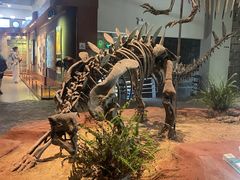 -自贡恐龙博物馆
