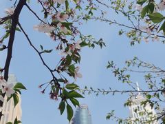 -西北湖绿化广场