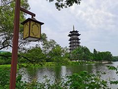-洋湖国家湿地公园