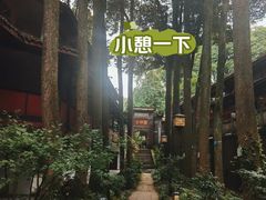 -青城山