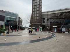 -中粮·祥云小镇