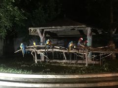 -清迈夜间动物园