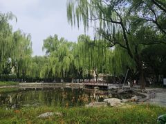 -玲珑塔公园