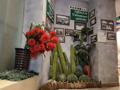 -好伦哥比萨烤肉自助(八里桥店)