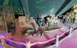 -宝燕乐园(闵行旗舰店)