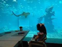 -涛·海底餐厅·美人鱼·自助餐·海底隧道(三亚海棠湾洲际度假酒店)