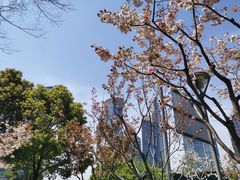 -陆家嘴中心绿地