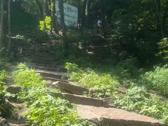 -香炉山国家森林公园