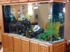 -宠物寄养训练学校
