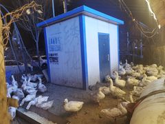 -鱼窝棚柴火铁锅炖(富山屯店)