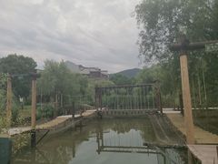 -苏州太湖国家湿地公园