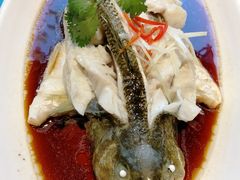 -晶泽丽琅·鱼鲜川菜(川师店)