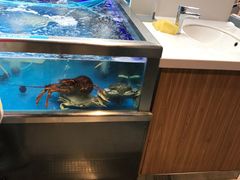 -盒马鲜生(大成店)