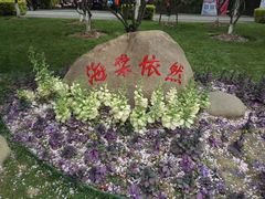 -荆川公园