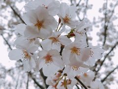 -堤角公园