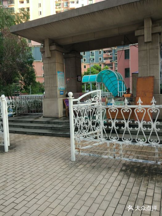 香港丽园游泳池图片