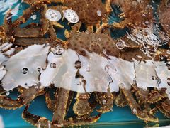 -盒马鲜生(大成店)