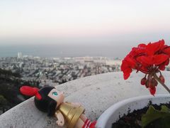-泡泡玛特POPMART(壹号店)
