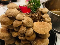 -今日炊牛·潮汕牛肉火锅(华采天地店)