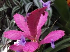 -国家植物园南园