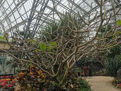 -南山植物园